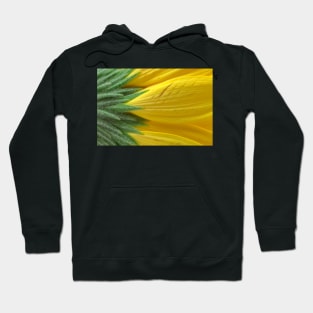 Yellow Daisy Macro Hoodie